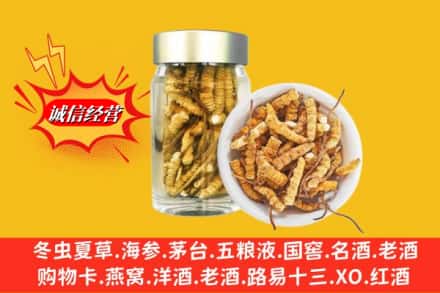 龙游县回收散虫草